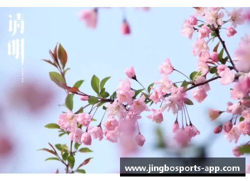 繁花似锦，蝶恋蜂采：探寻多情季节的诗意生活